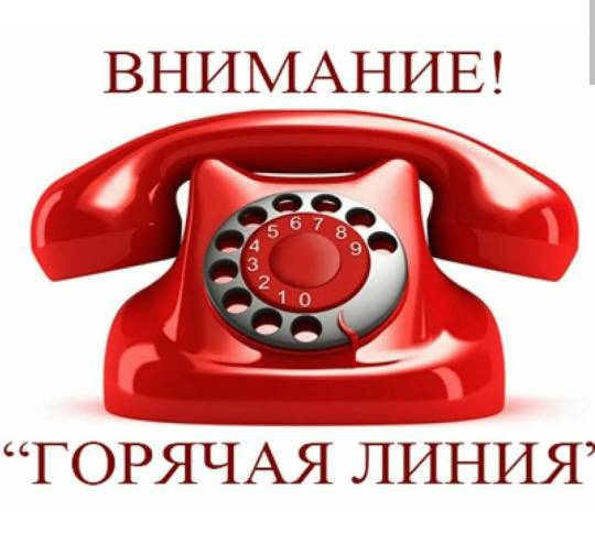 "Горячая линия" по питанию в школе!.